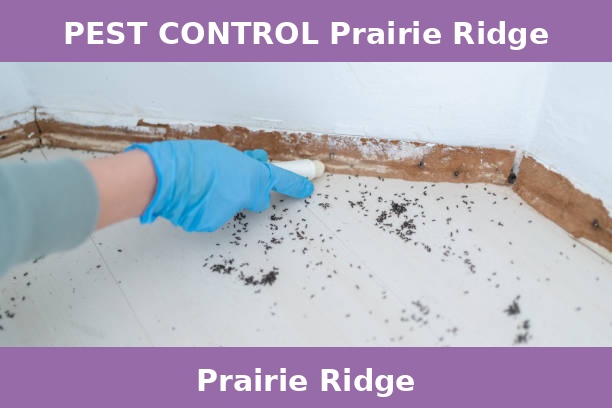 PEST CONTROL Prairie Ridge